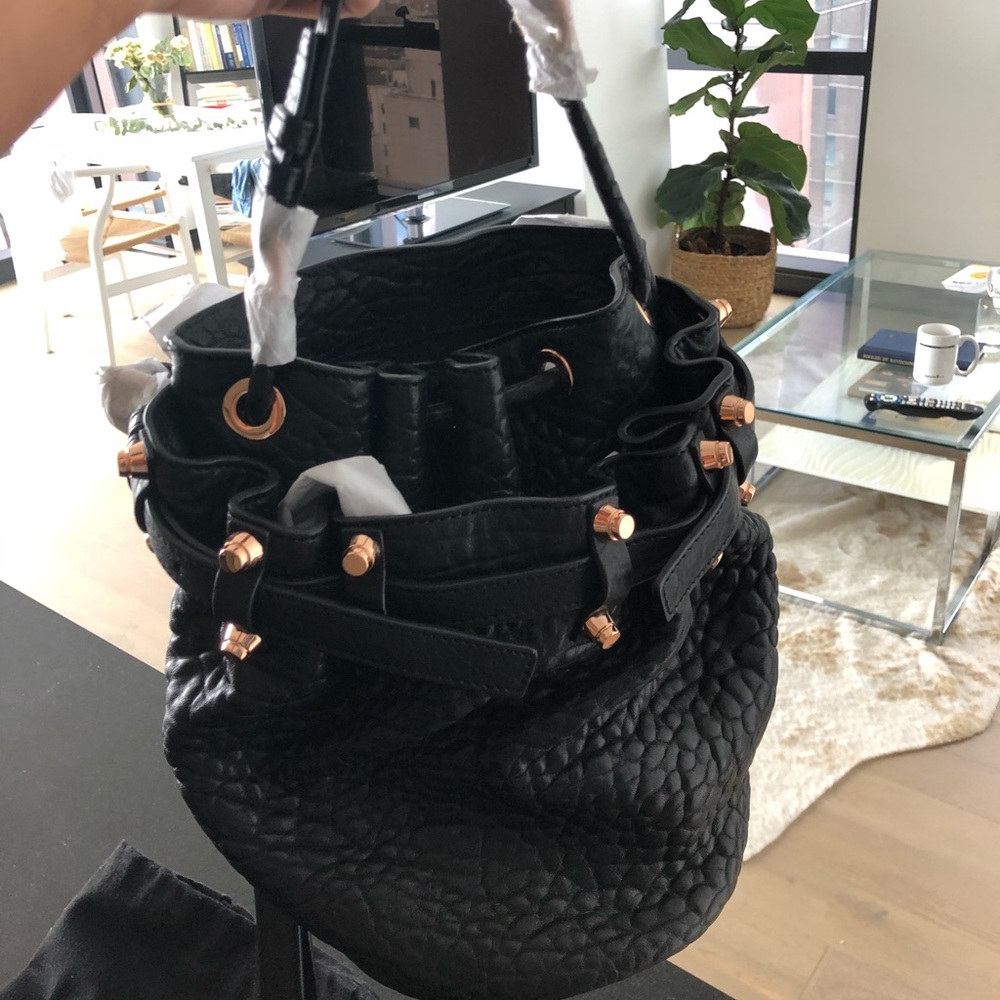 Brand New Alexander Wang Diego Bucket Bag